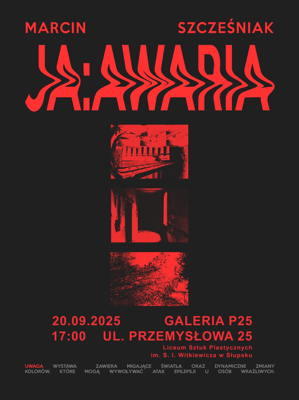 Wystawa Marcina Szcześniaka