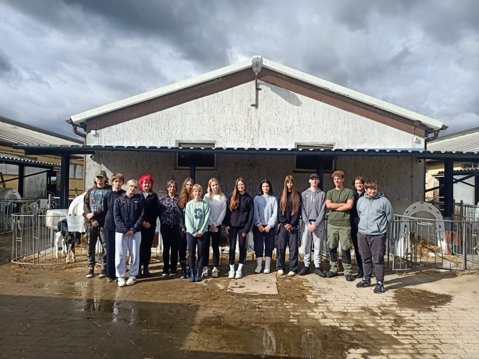 Z wizytą w krowim żłobku