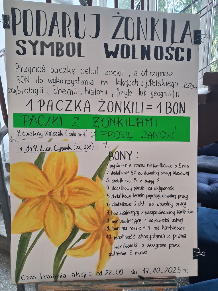 Zbieramy żonkile
