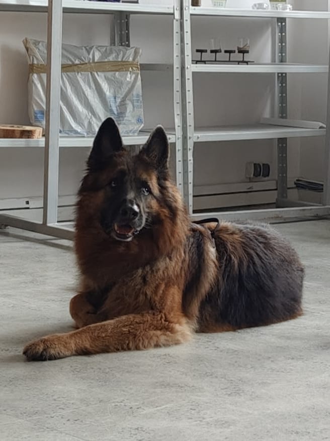 Spotkanie z behawiorystką