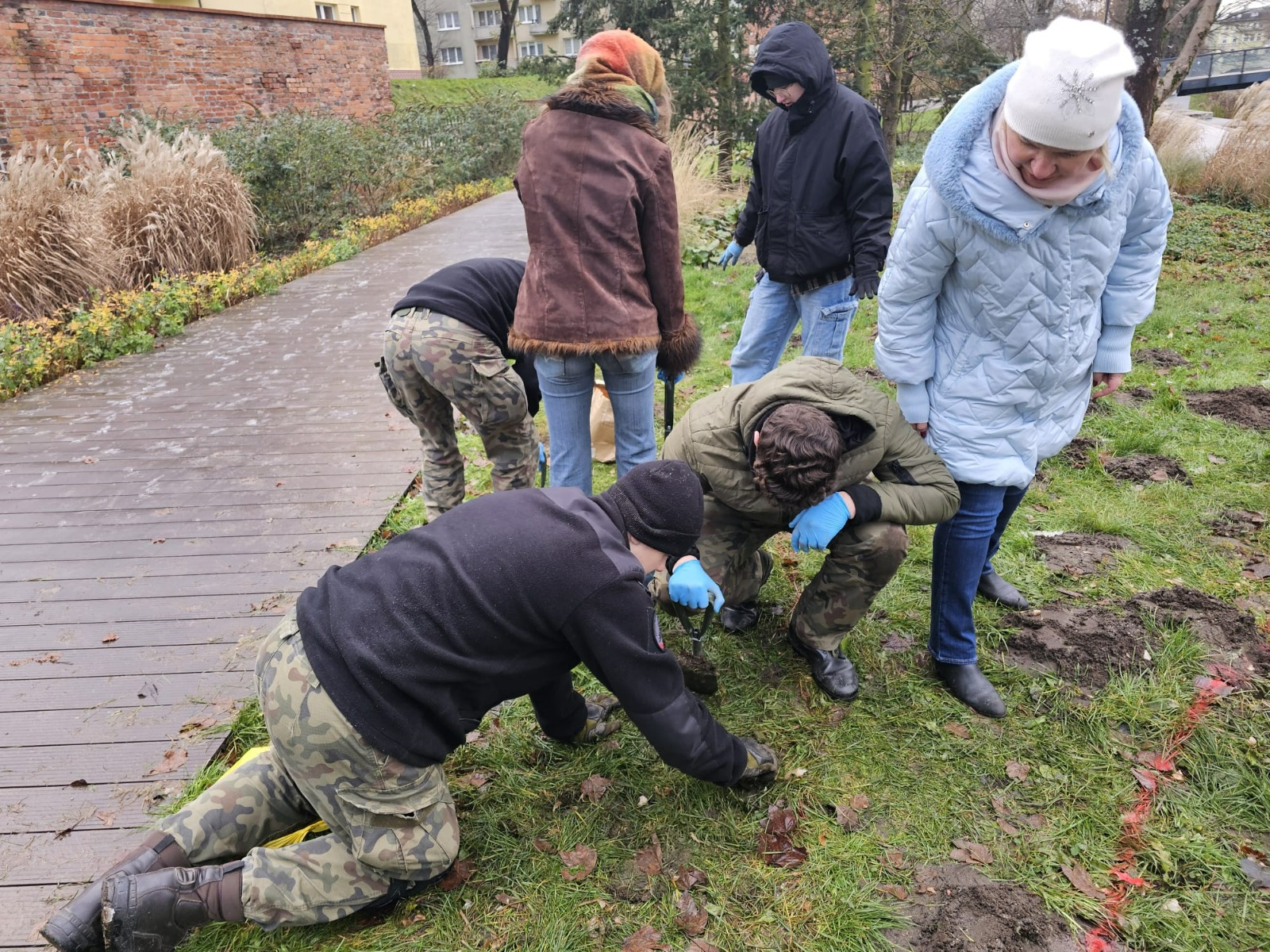 Sadziliśmy żonkile pamięci