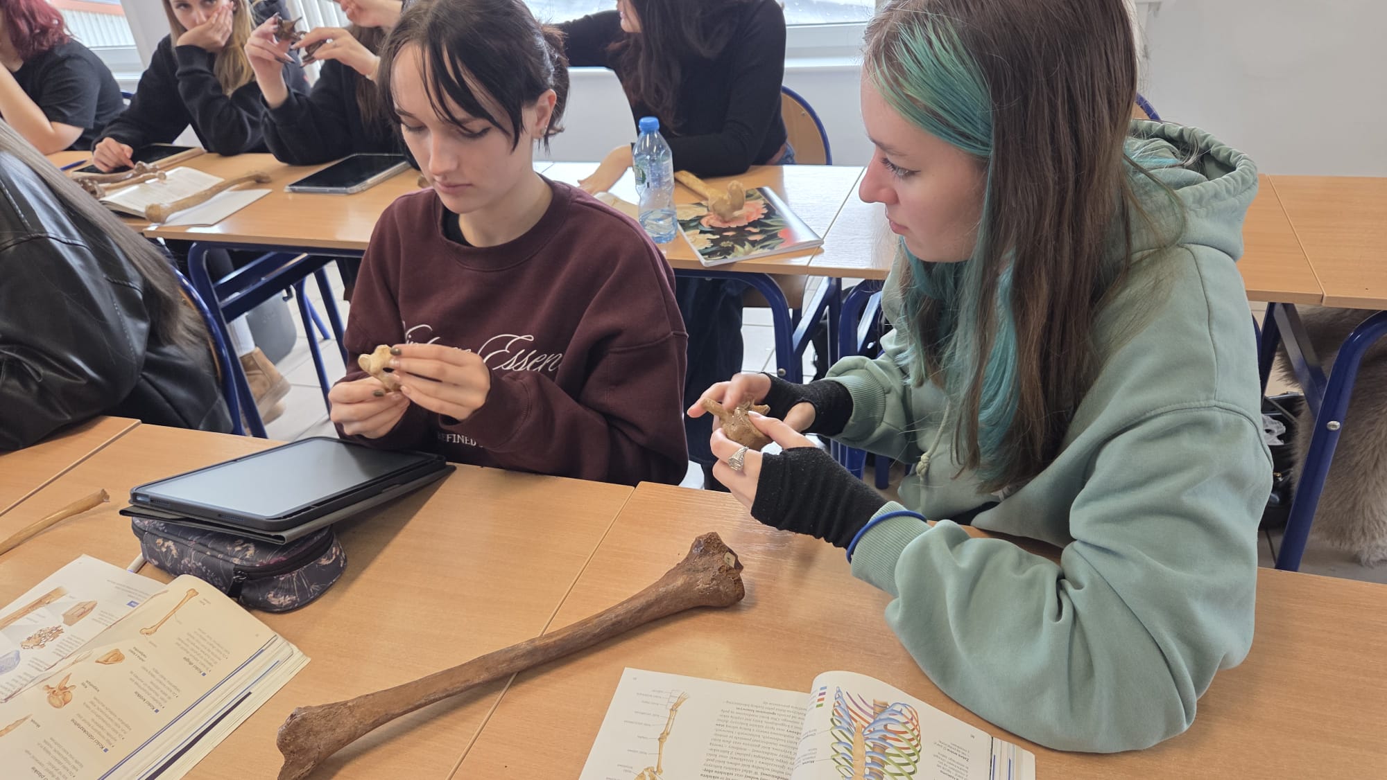 Tajemnice ukryte w kościach