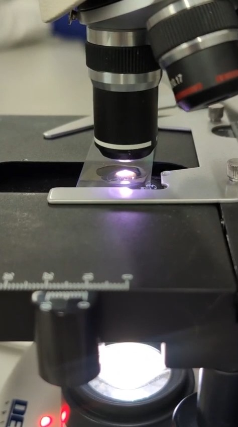 Miejsce dla przyjaciół zwierząt